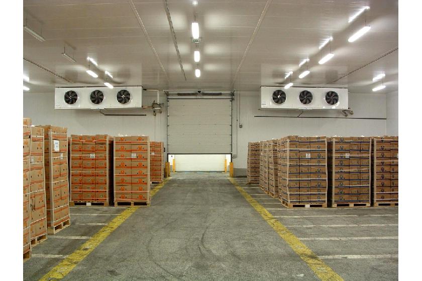 Erstellung von Kühllagern für die Pharma-, Lebensmittel- und Agrarindustrie